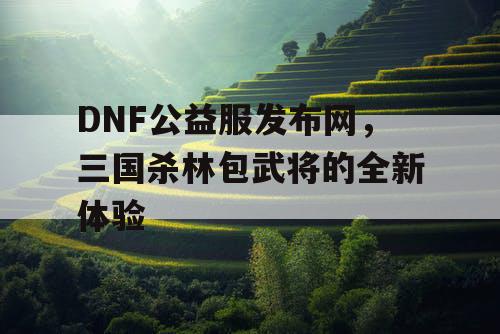 DNF公益服发布网，三国杀林包武将的全新体验