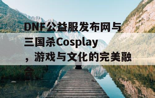 DNF公益服发布网与三国杀Cosplay，游戏与文化的完美融合