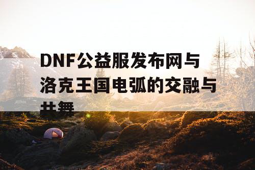 DNF公益服发布网与洛克王国电弧的交融与共舞