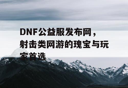 DNF公益服发布网，射击类网游的瑰宝与玩家首选