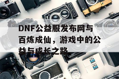 DNF公益服发布网与百炼成仙，游戏中的公益与成长之路