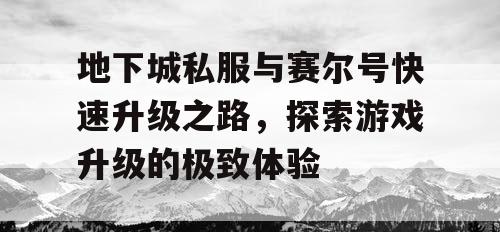 地下城私服与赛尔号快速升级之路，探索游戏升级的极致体验