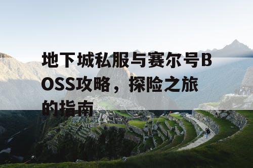 地下城私服与赛尔号BOSS攻略，探险之旅的指南