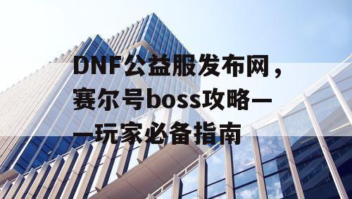 DNF公益服发布网，赛尔号boss攻略——玩家必备指南