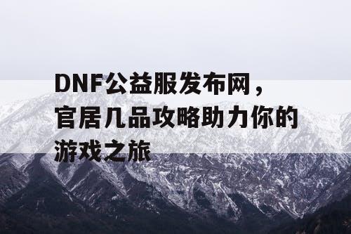 DNF公益服发布网，官居几品攻略助力你的游戏之旅