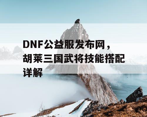 DNF公益服发布网，胡莱三国武将技能搭配详解